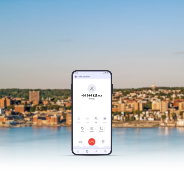 Get a New York Phone Number NY Area Code Solutions