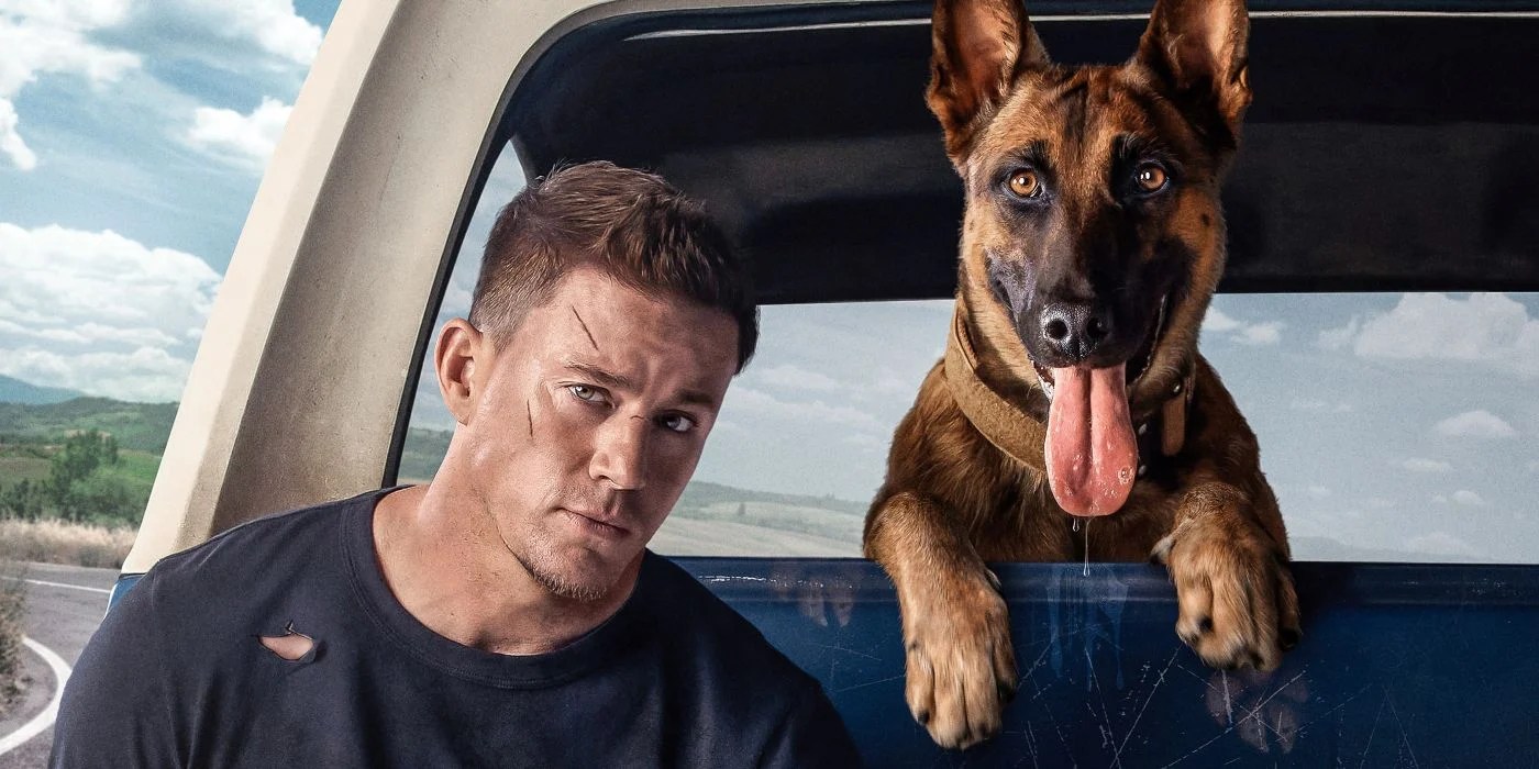 A List Of The Best Dog Movies Of All Time And Their Plots
