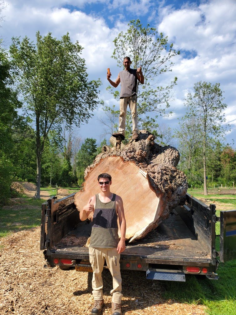 About Expert Tree Service Inc.