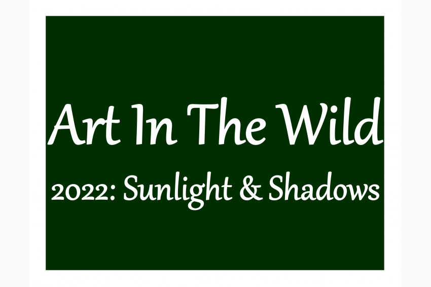 Art Competition for Outdoor Art Made of Mostly Natural Materials