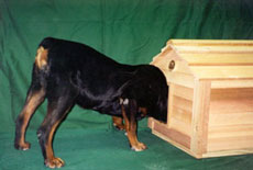 How To Choose The Right Size Doghouse