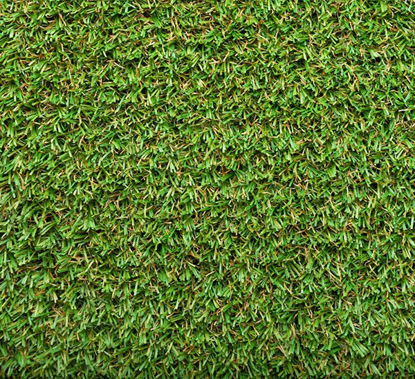 Bermuda Sod Calloway's Nursery