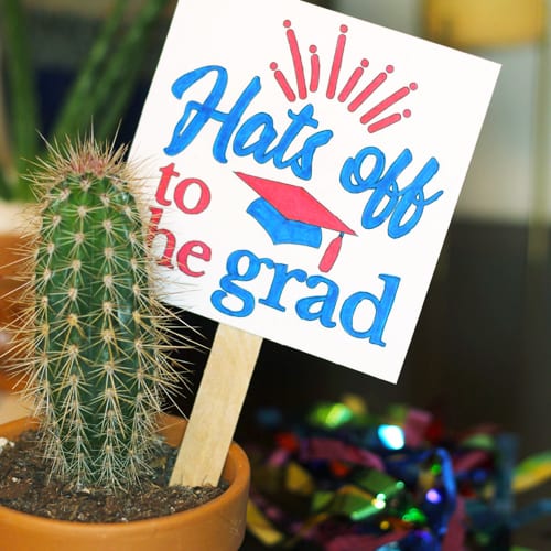 Graduation Gift Ideas Way to Grow Graduates Calloway’s Nursery