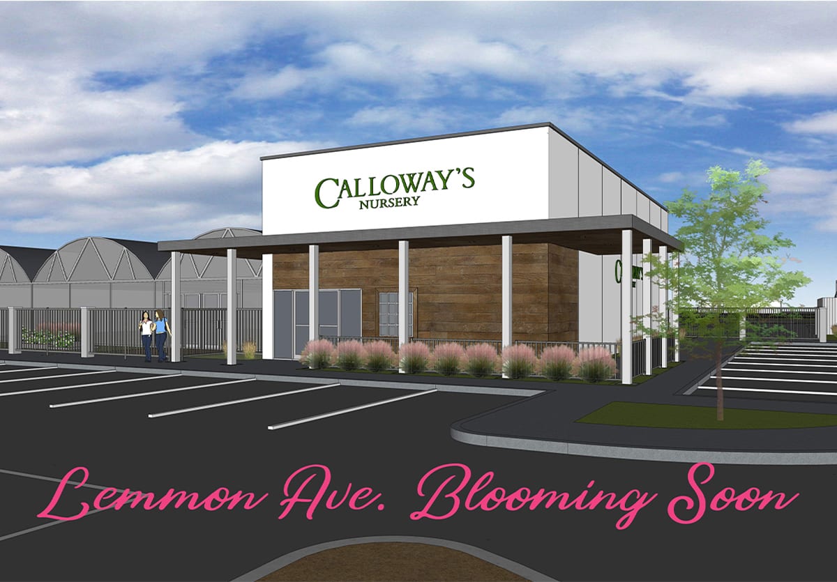 Calloway's Nursery Dallas TX Plant & Garden Center