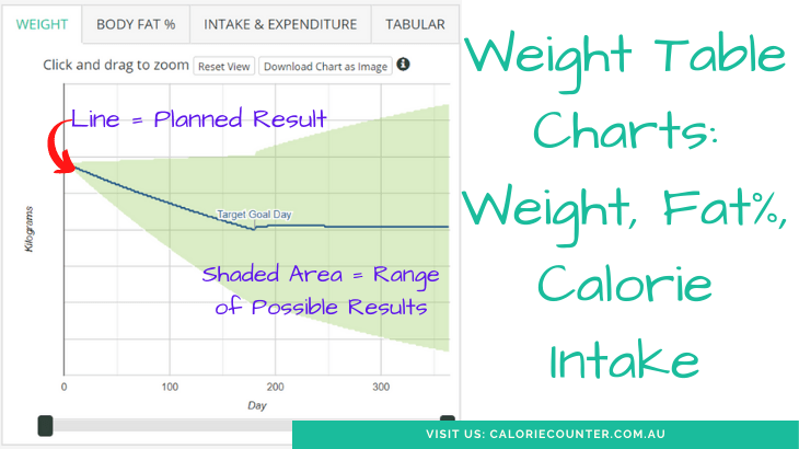 Calorie Deficit Calculator (To Lose Weight) · Calcount Calorie Counter