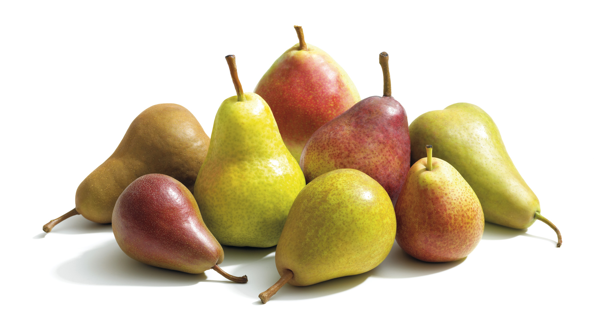 Pear Varieties (in studio) California Pears
