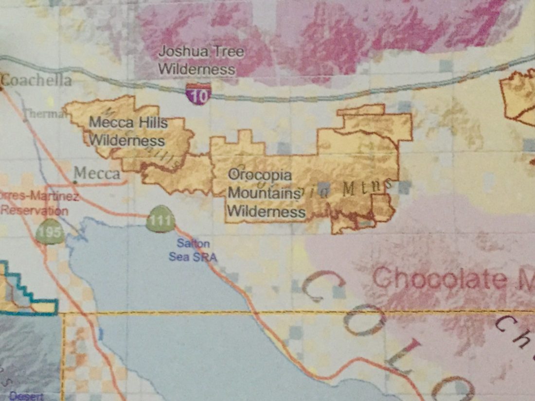 Spring Superbloom in the Mecca Hills Wilderness • CALWILD