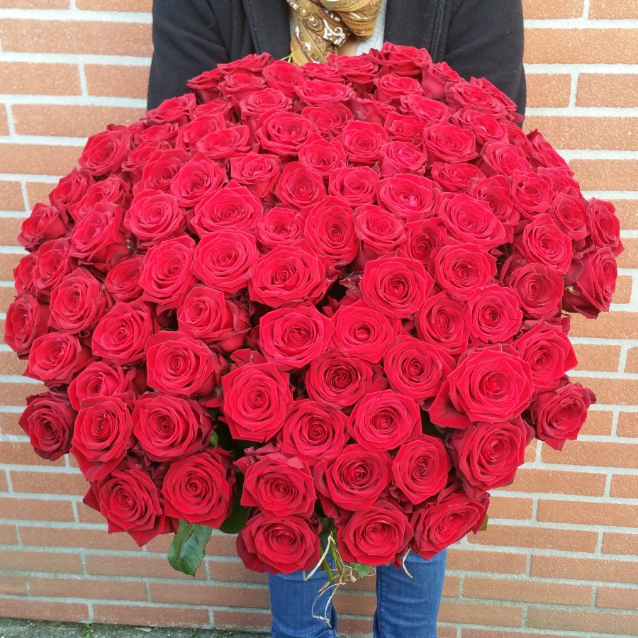 Bouquet de 101 GRANDES Roses Rouges Livraison Toulouse Calypso Fleurs