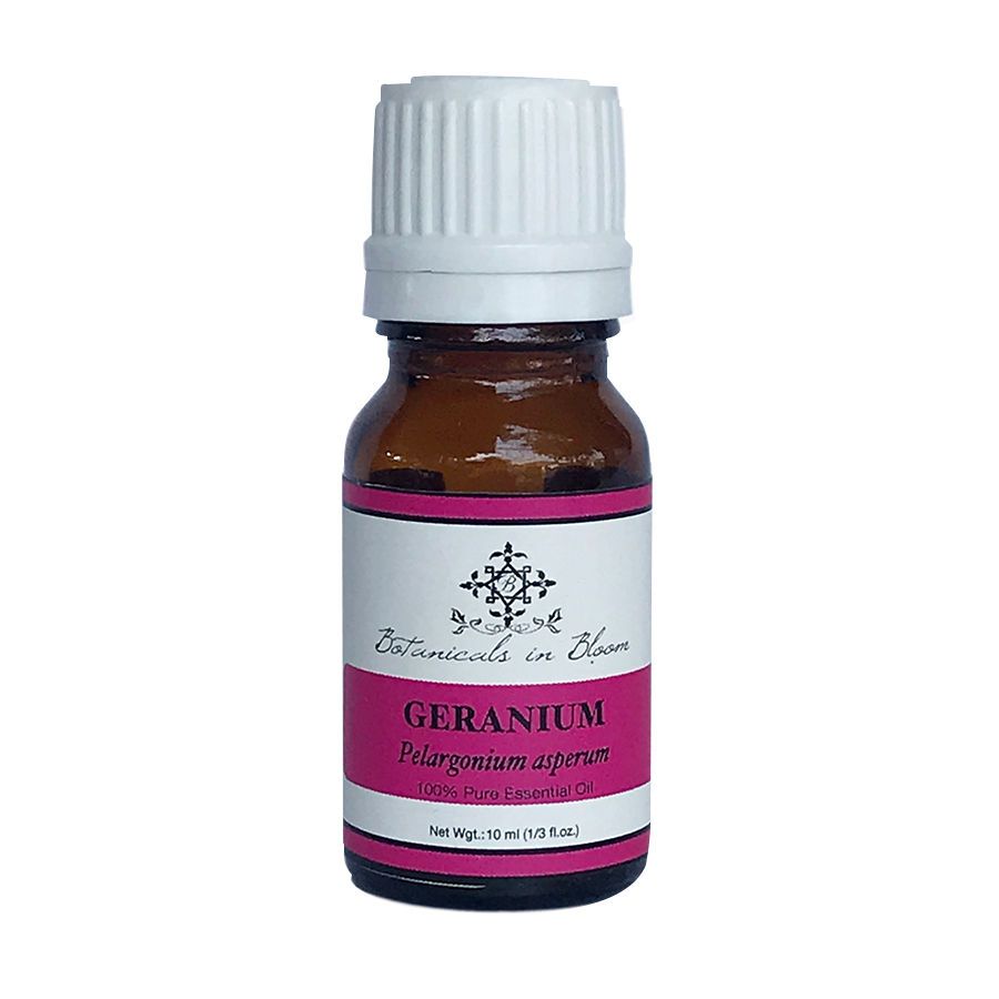 Pelargonium Flower Essence Best Flower Site