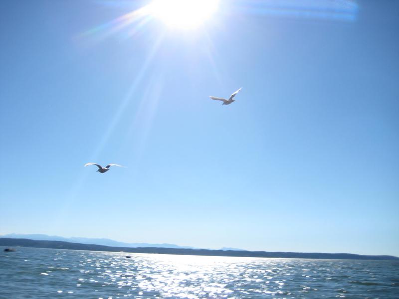 Camano Island Dental