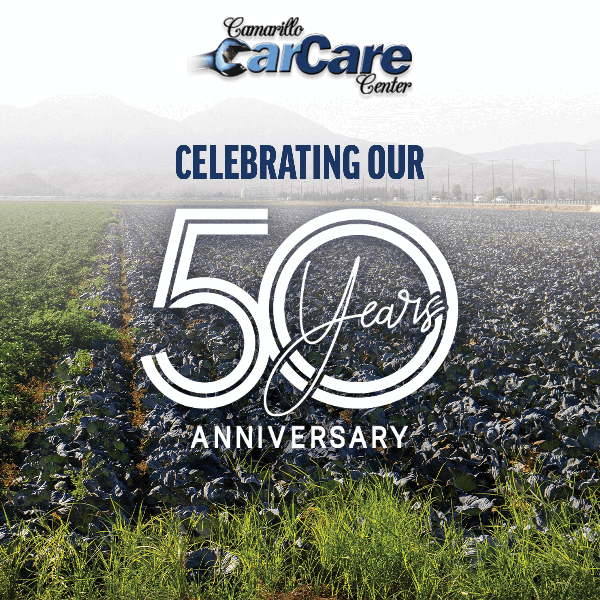 Auto Repair in Camarillo Camarillo Car Care Center