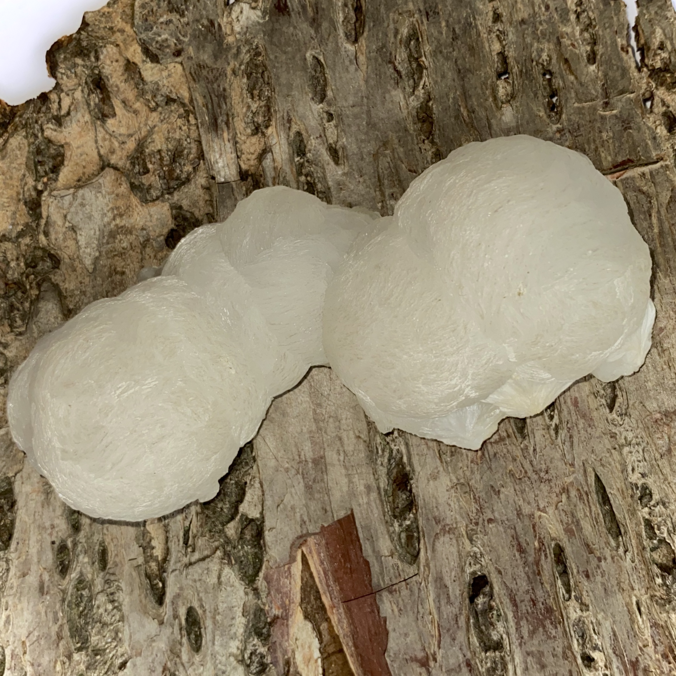 Thomsonite specimen (zeolite) 2 Camden Crystals