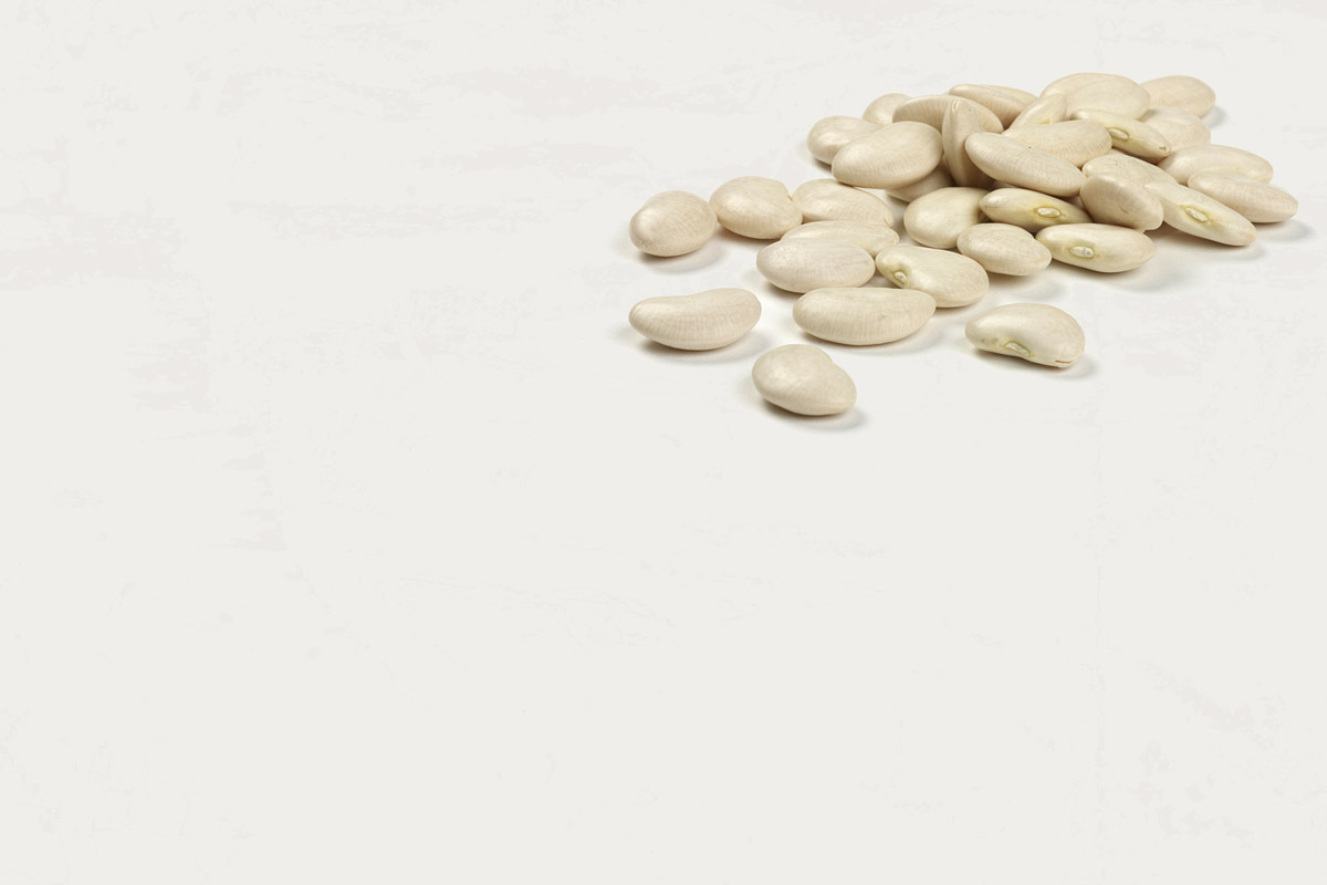What Are Large Lima Beans? Camellia Brand