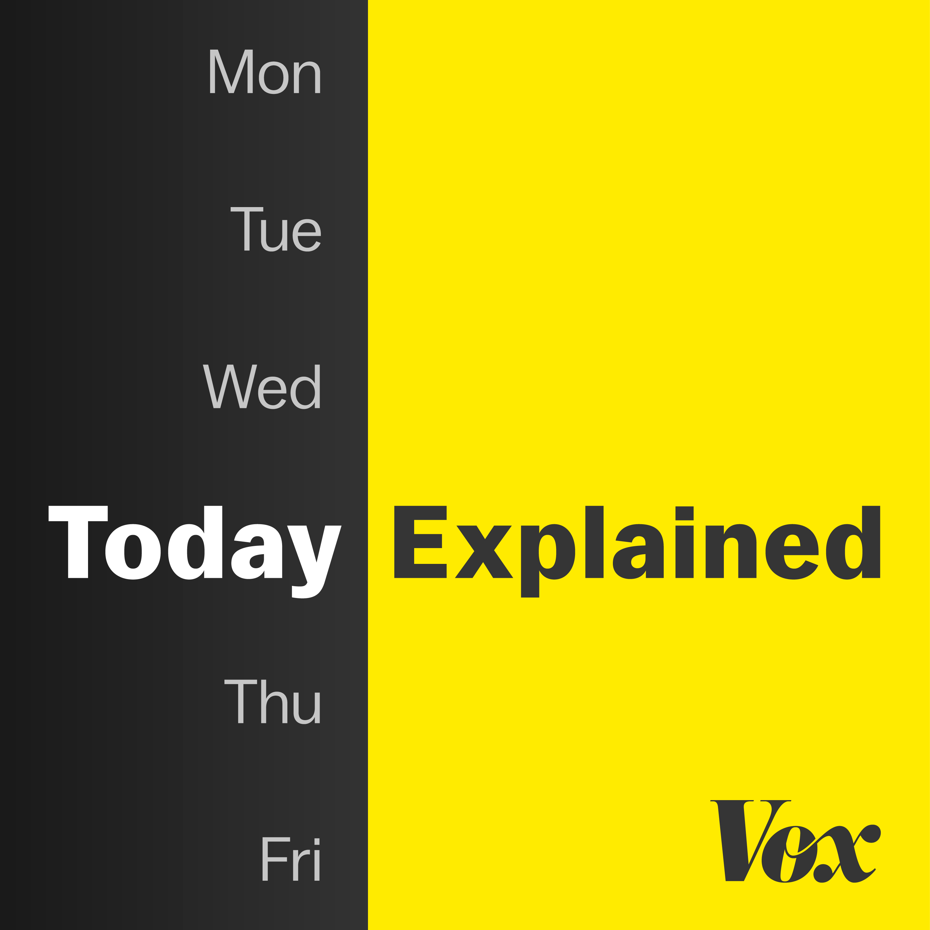 Vox Explaining the News, Improvising on the Facts CAMERA