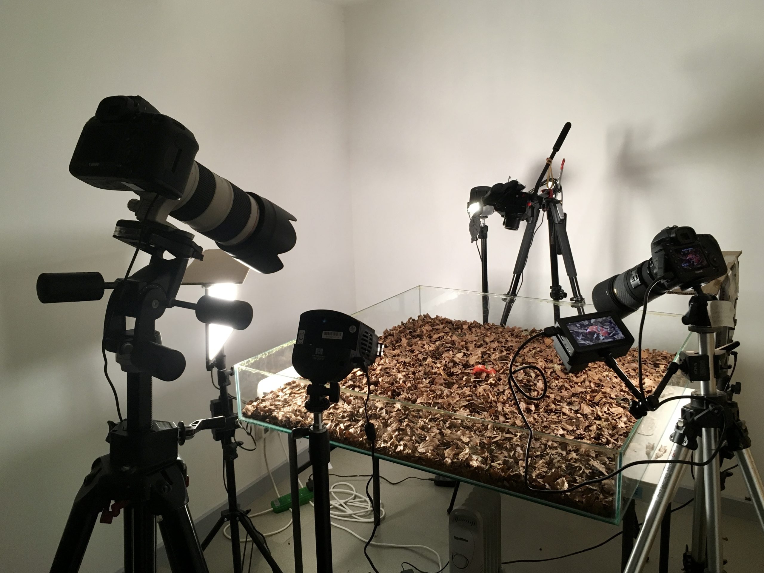 Get Creative with Timelapse Photography CameraWorld News