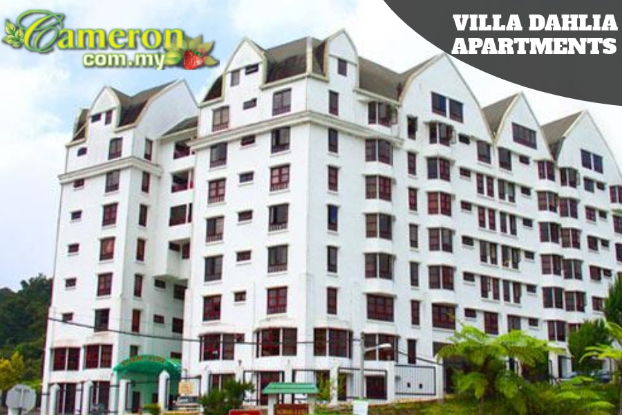 Villa Dahlia Apartments Cameron Highlands Cameron Highlands Online 2024