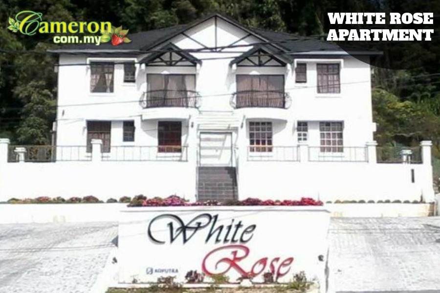 White Rose Apartment Cameron Highlands Cameron Highlands Online 2024
