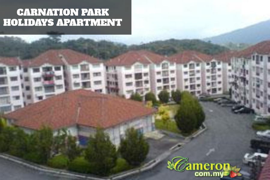Carnation Park Holidays Apartment Cameron Highlands Online