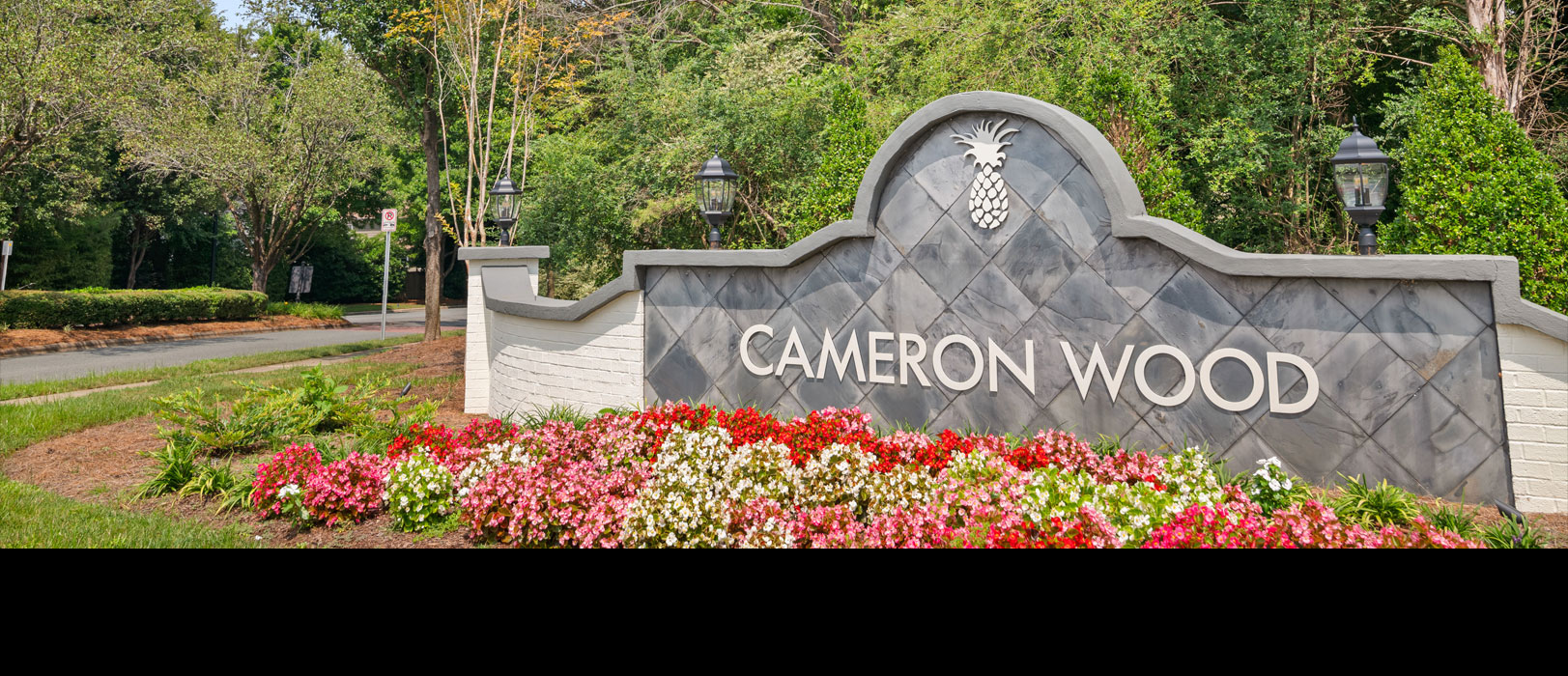 Cameron Wood Neighborhood