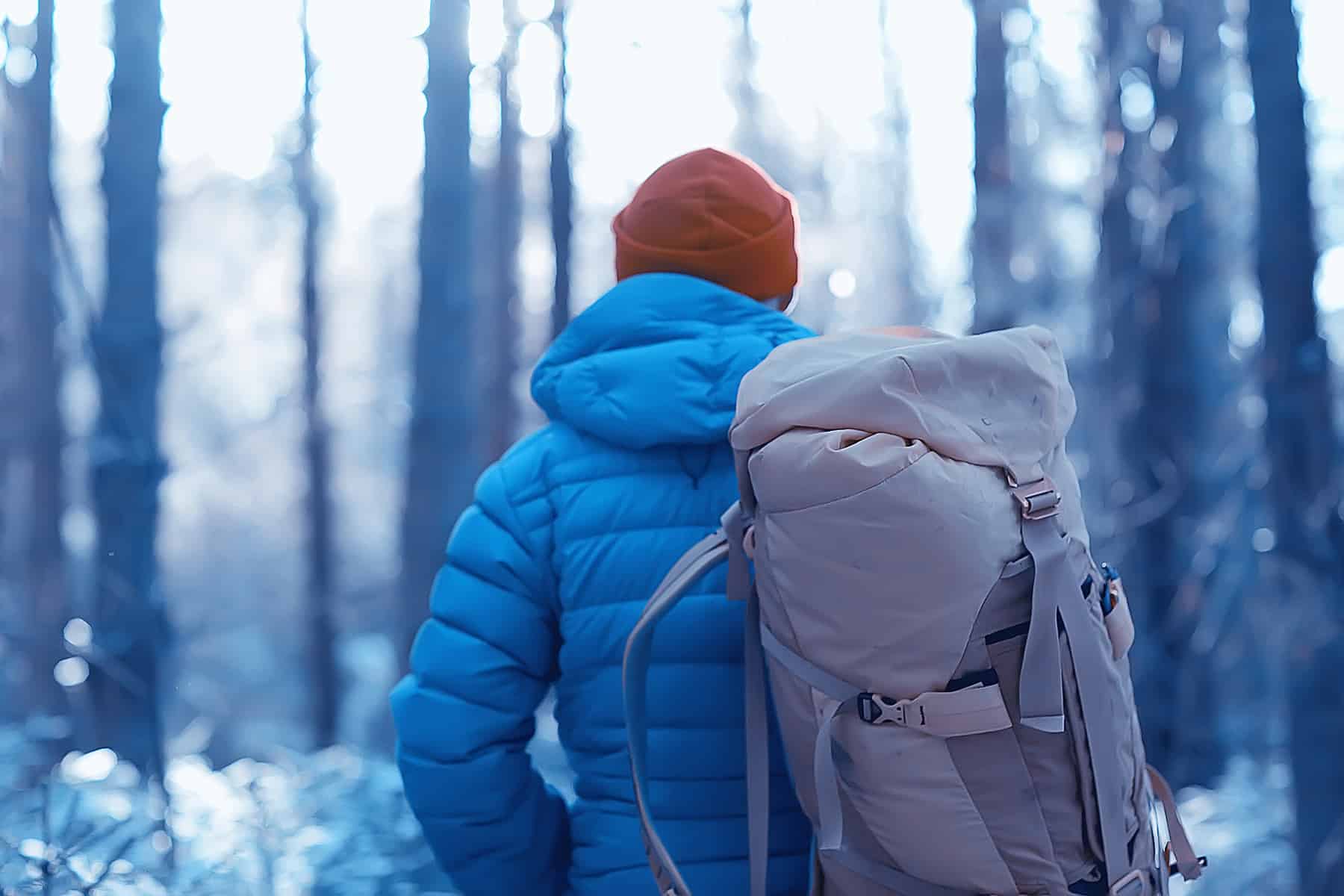 Patagonia Nano Puff vs Down Sweater [Detailed Guide 2024]