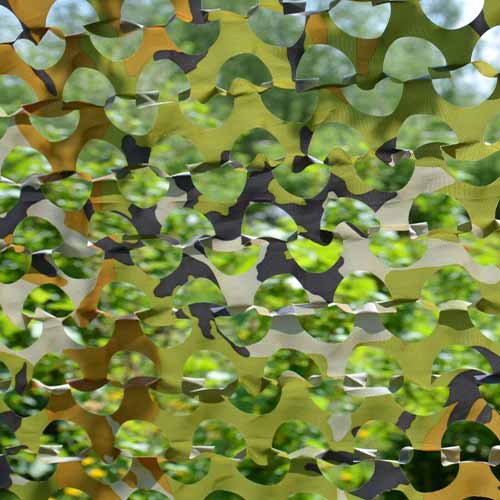 Top 5 Outdoor Privacy Screen Ideas