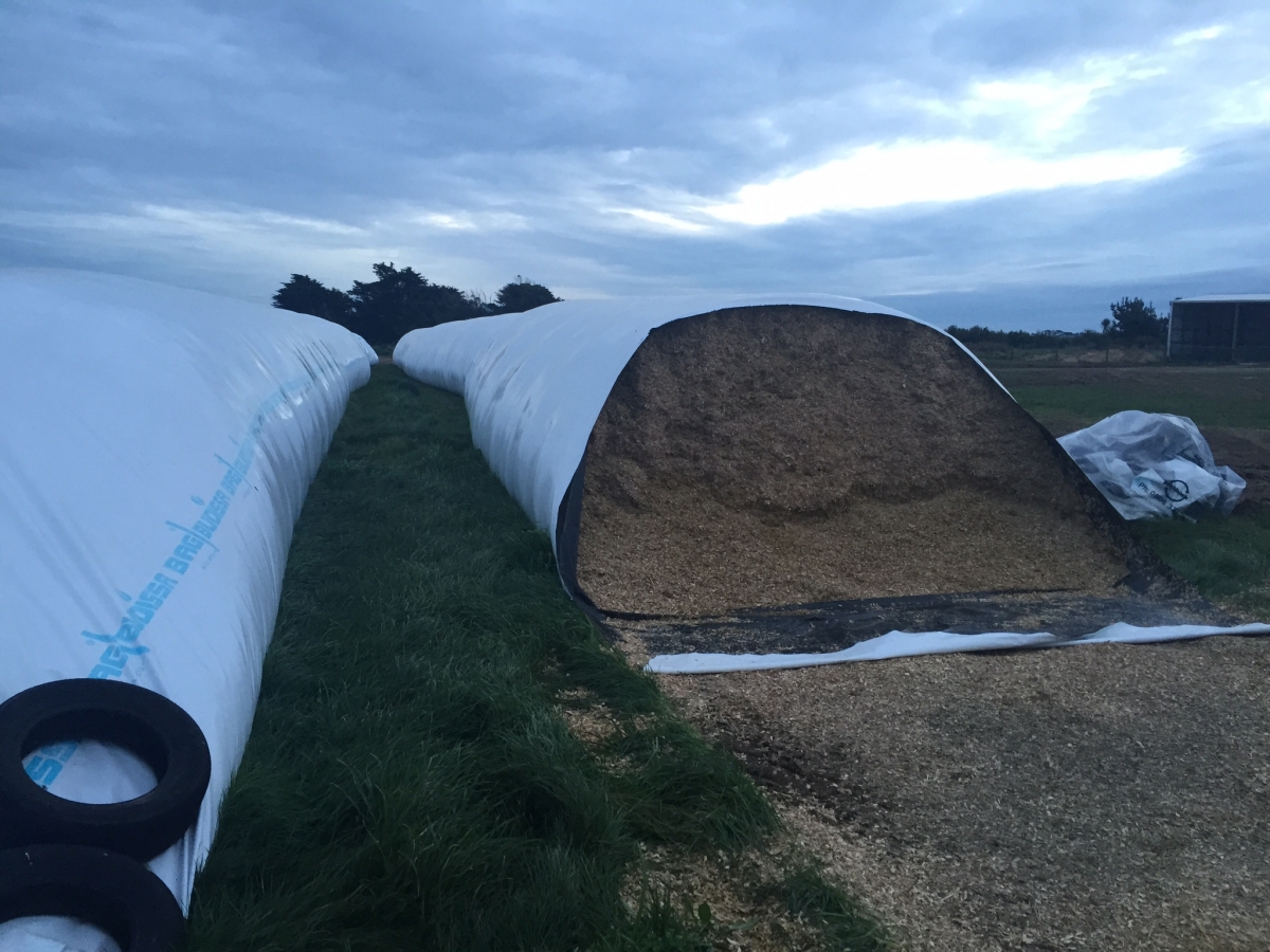 Agbag Campbell Contracting Ltd