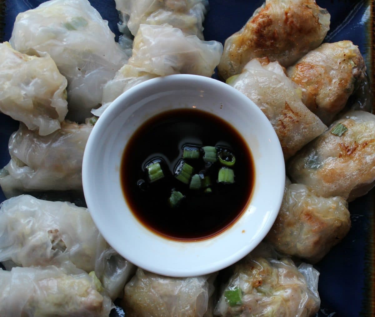 GlutenFree Pork Dumplings · Erin Brighton(010)