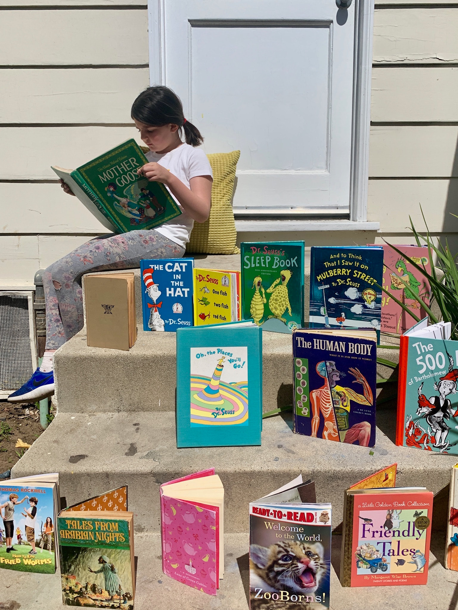Summer Reading Camp for Kids Summer 2021