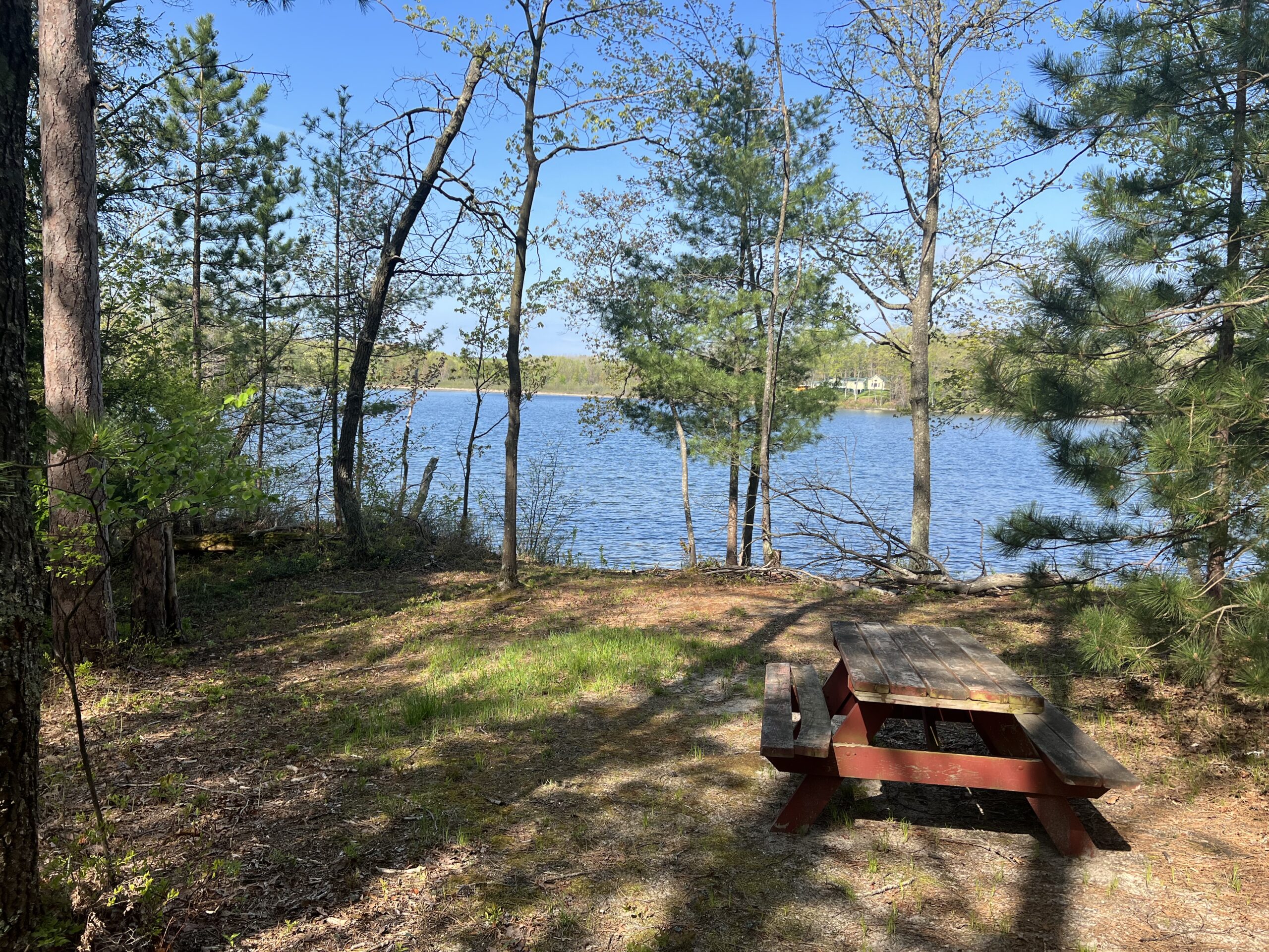 Home Camp Deer Trails