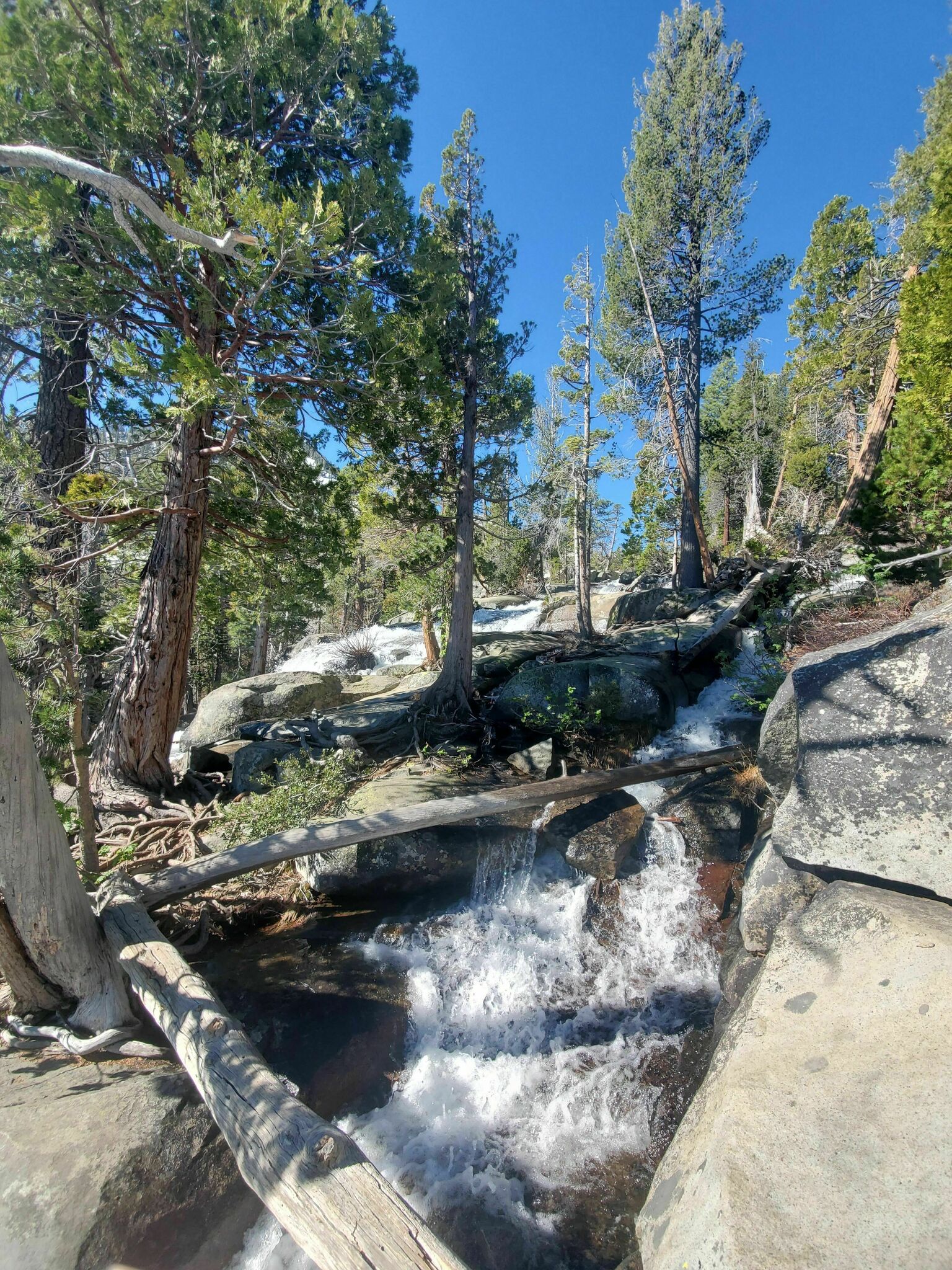 Top 20 Waterfall Hikes Bay Area USA Full Details