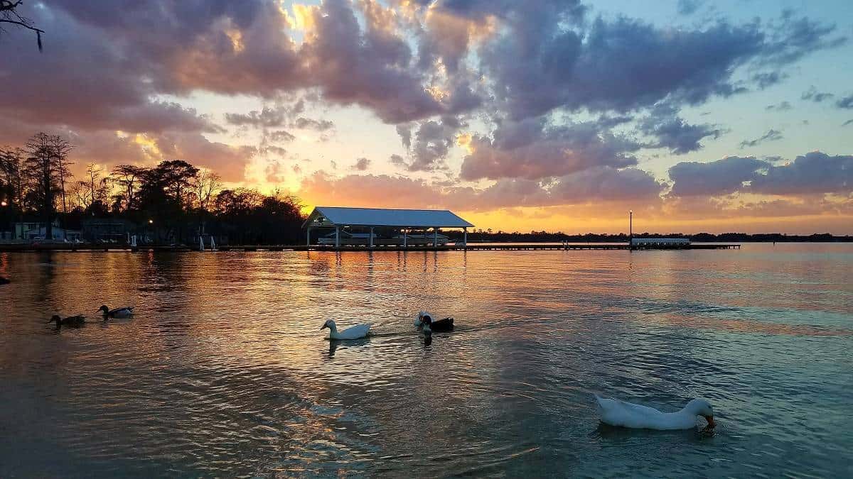 Camp Clearwater Family Campground in White Lake North Carolina NC