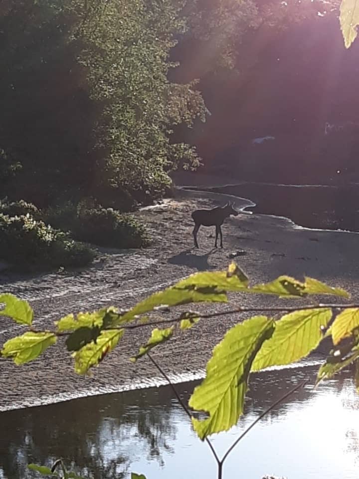 Baker River Campground in Rumney New Hampshire NH