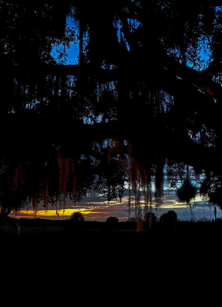 Coleman Landing Campground at Shady Oaks Recreation Area Lake Wales