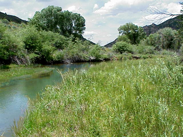 Spanish Fork River Park Campground Spanish Fork, Utah RV Park