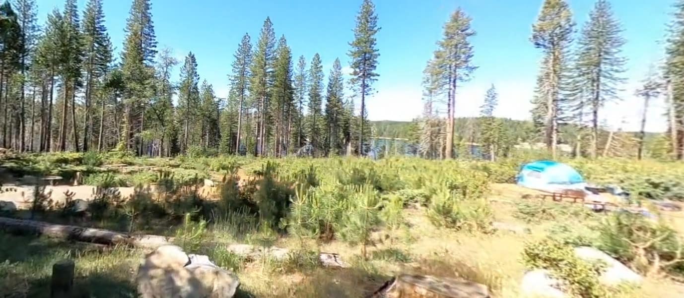 stumpy meadow 3 Campground Views