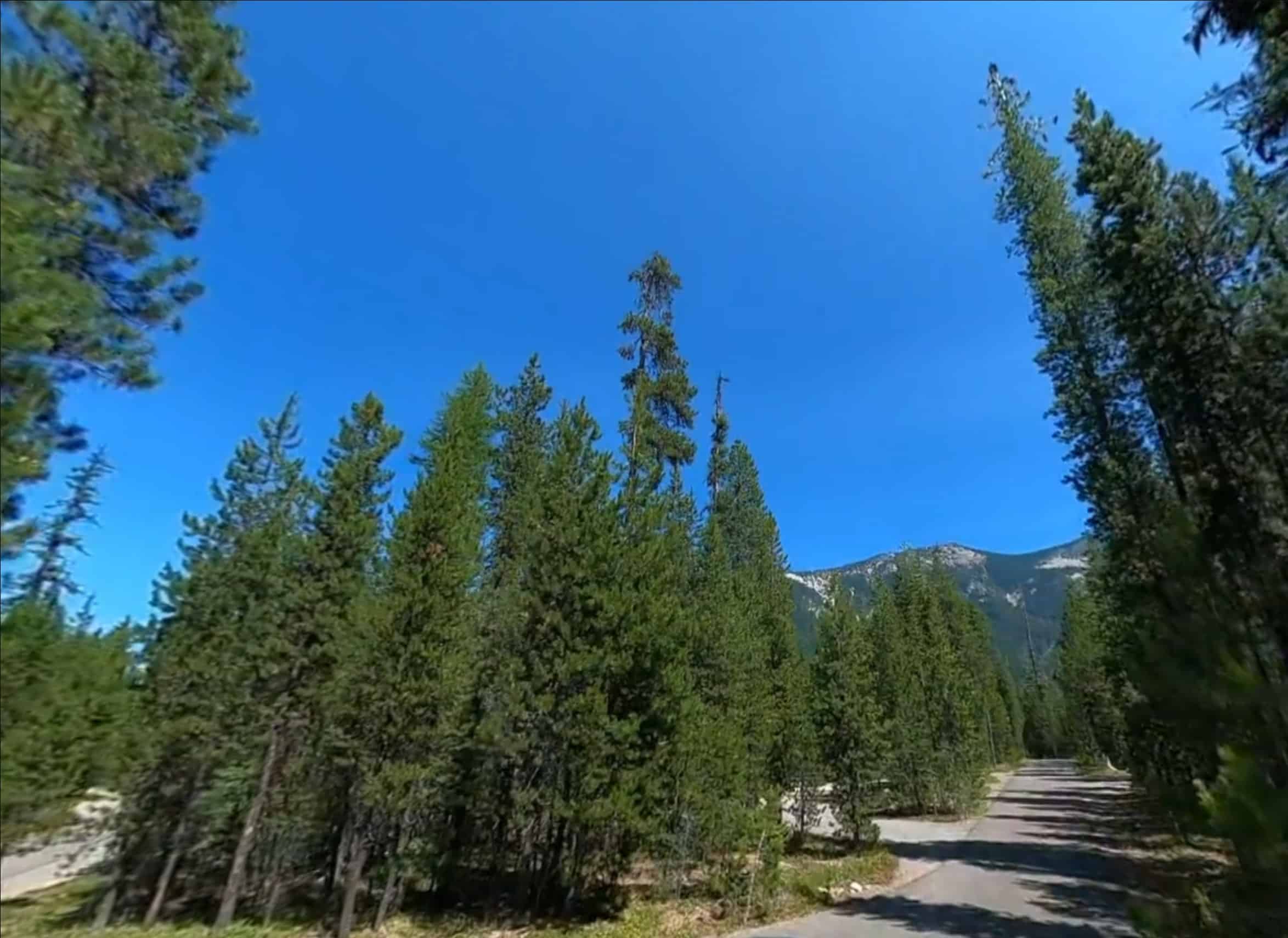 Bumping Lake Campground in Goose Prairie, WA Washington