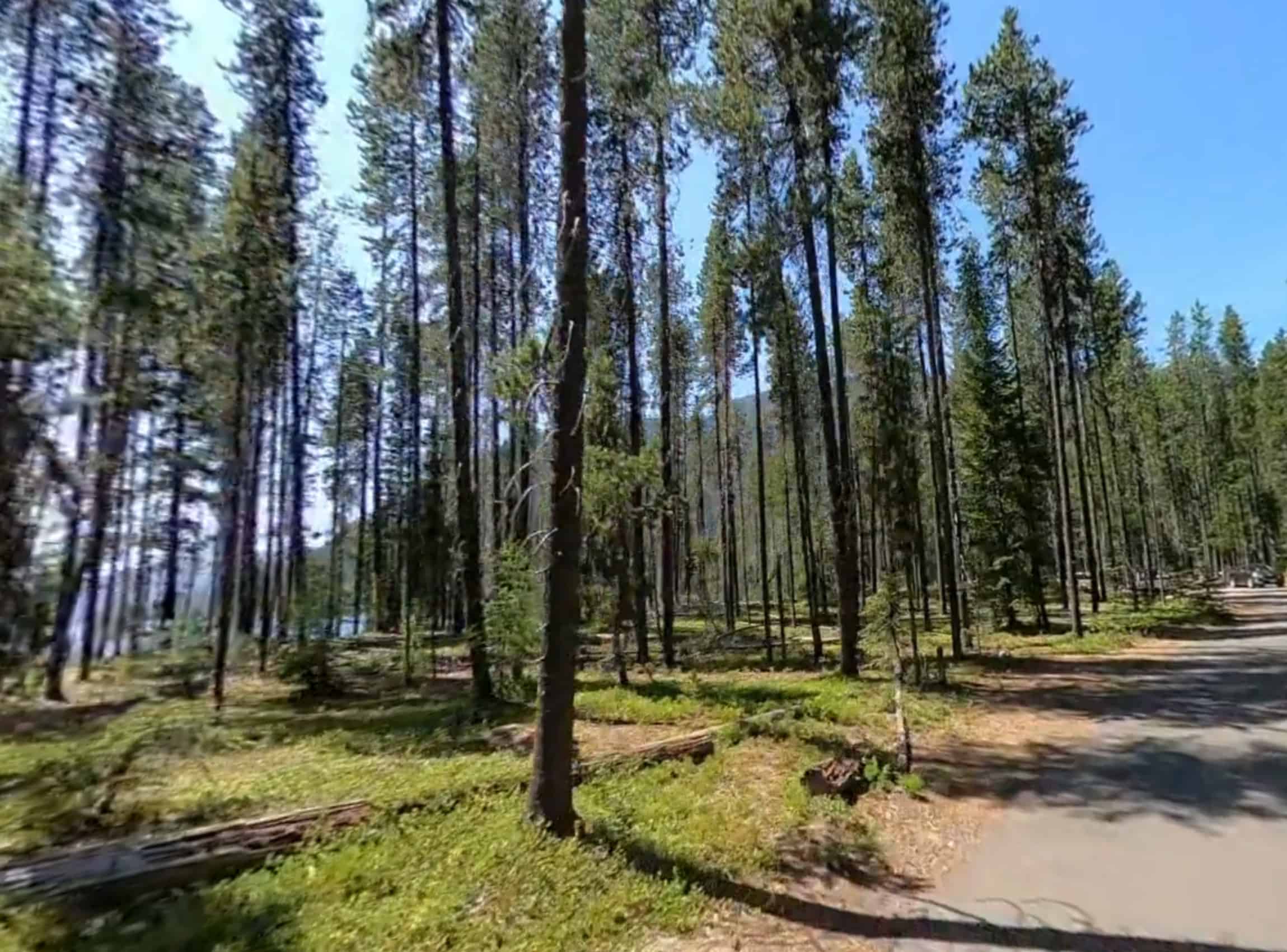 Bumping Lake Campground Views