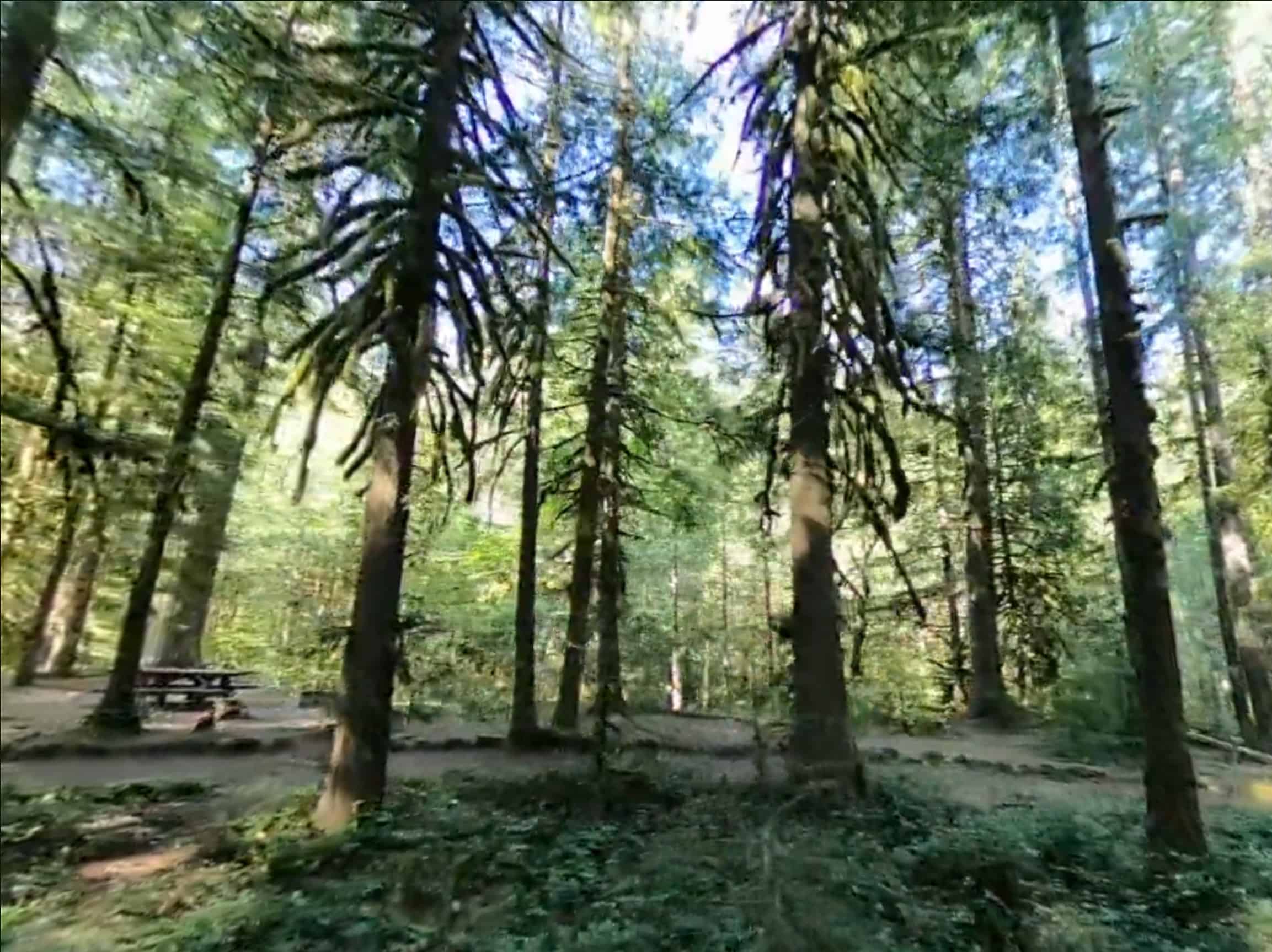 Tollgate Campground in Rhododendron, Oregon OR