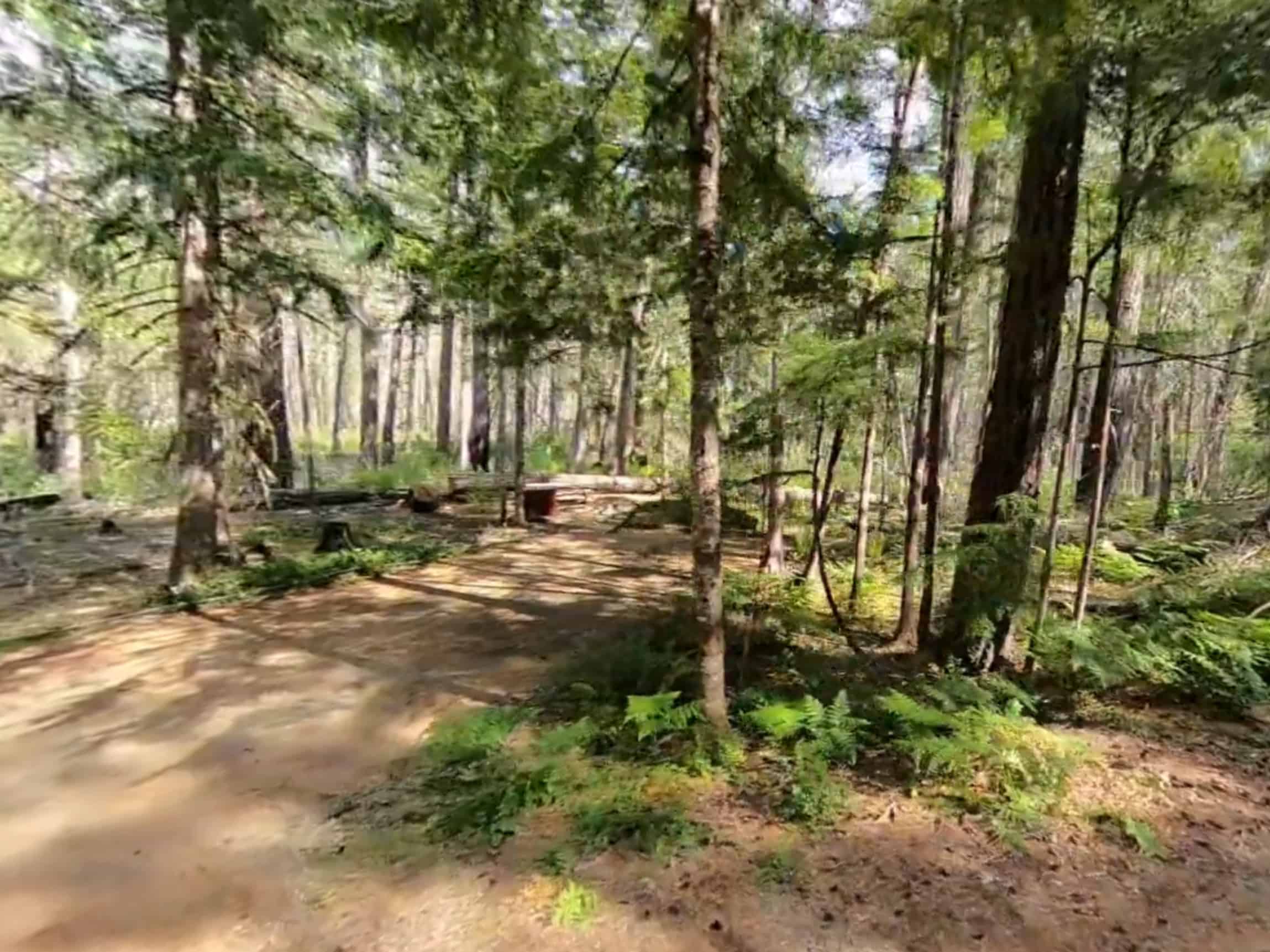 Newhalem Campground in Marblemount, WA Washington