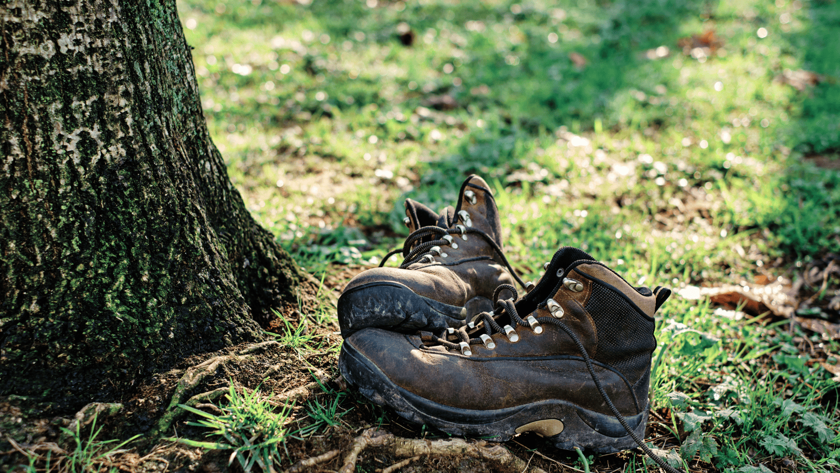 RV Quick Tip Dealing with Dirty Shoes on Your Camping Adventures Tips