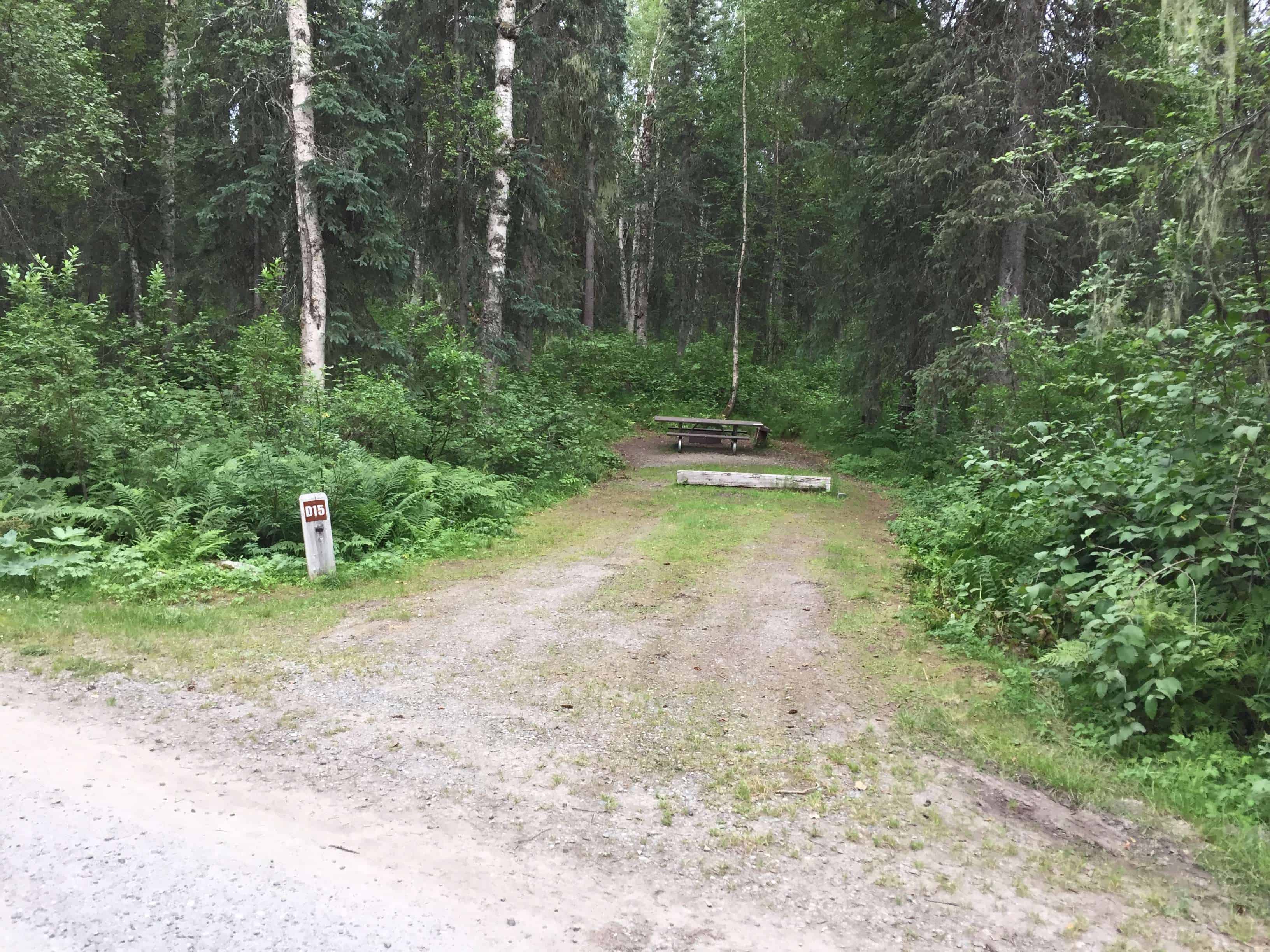 Byers Lake Campground in Trapper Creek Alaska AK