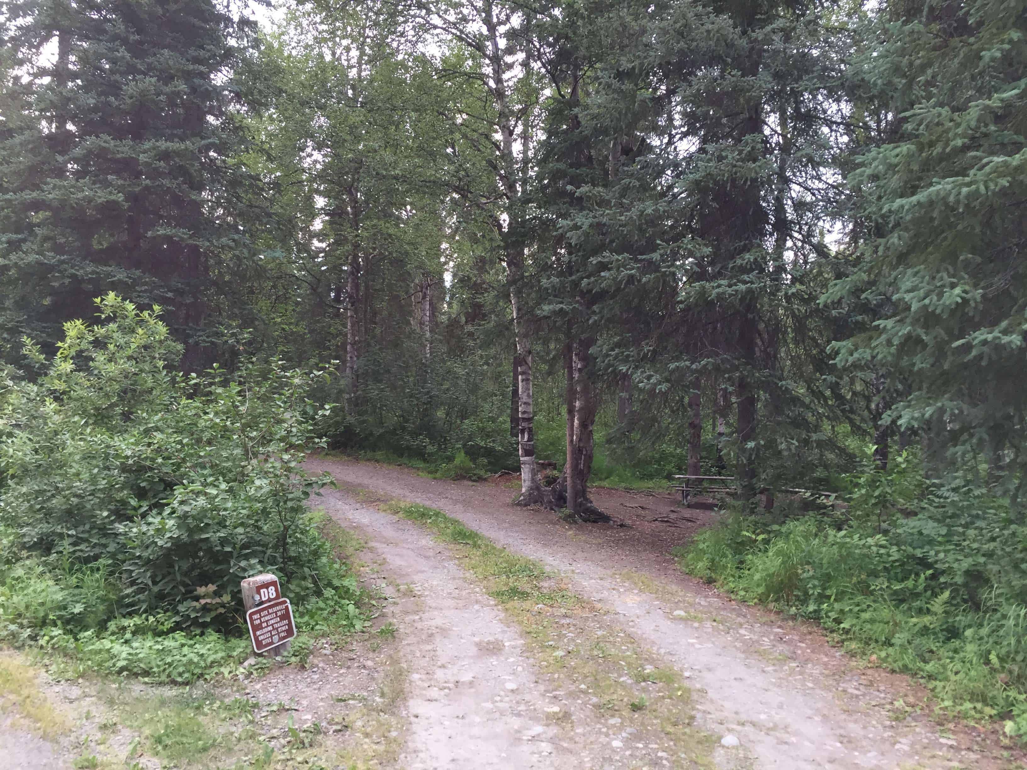 Byers Lake Campground in Trapper Creek Alaska AK