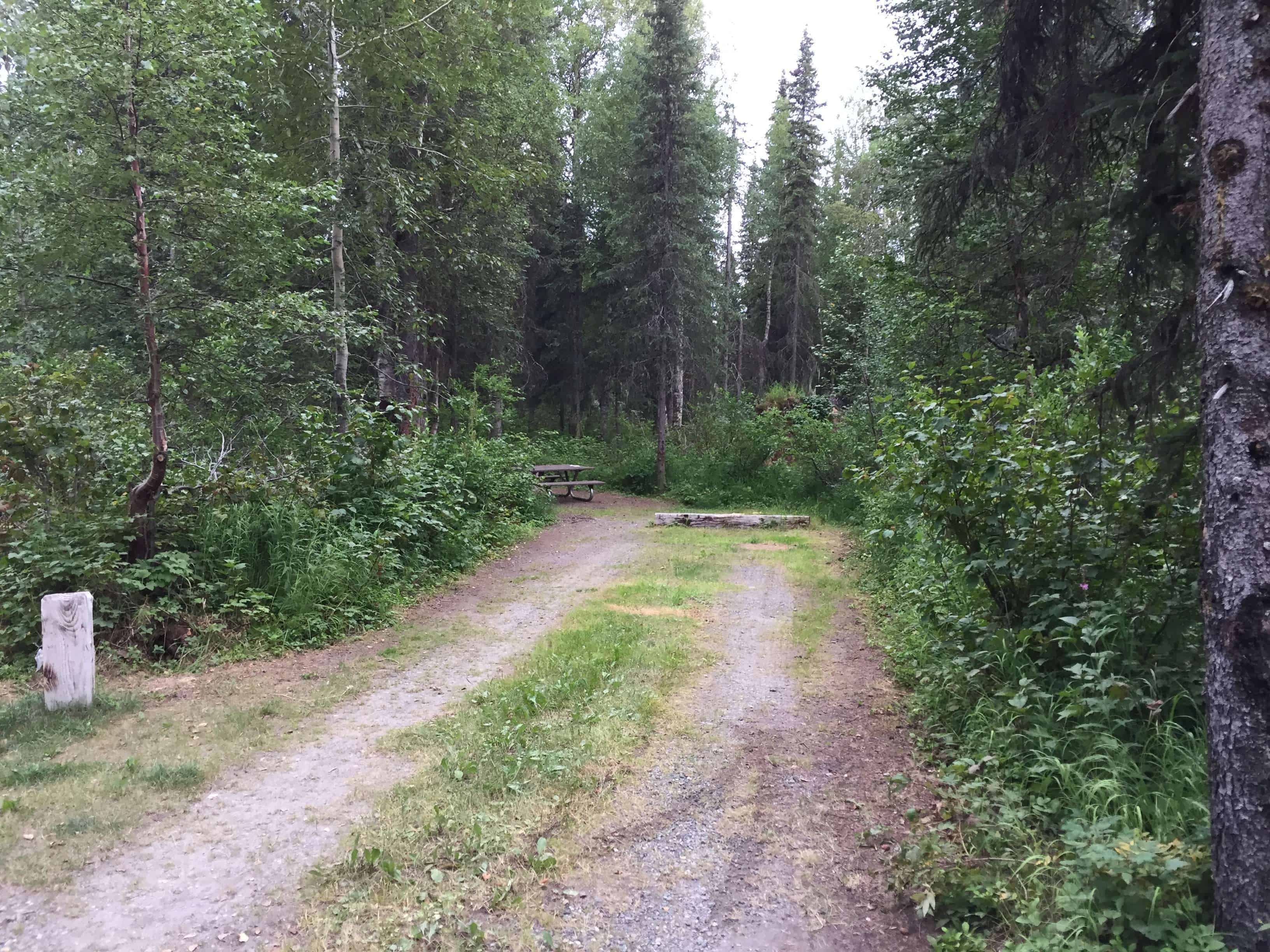 Byers Lake Campground in Trapper Creek Alaska AK