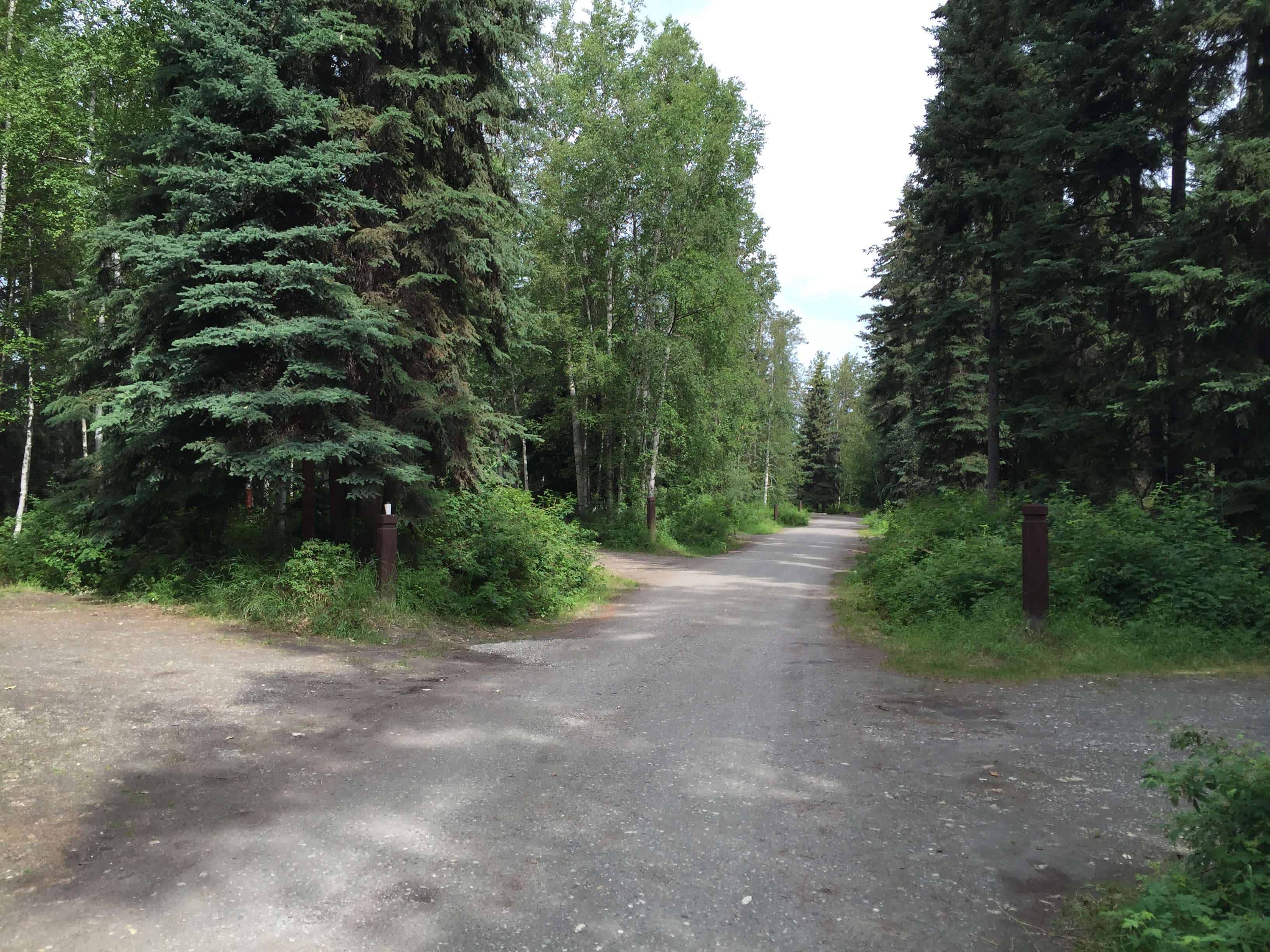 Chena River Wayside in Fairbanks Alaska AK