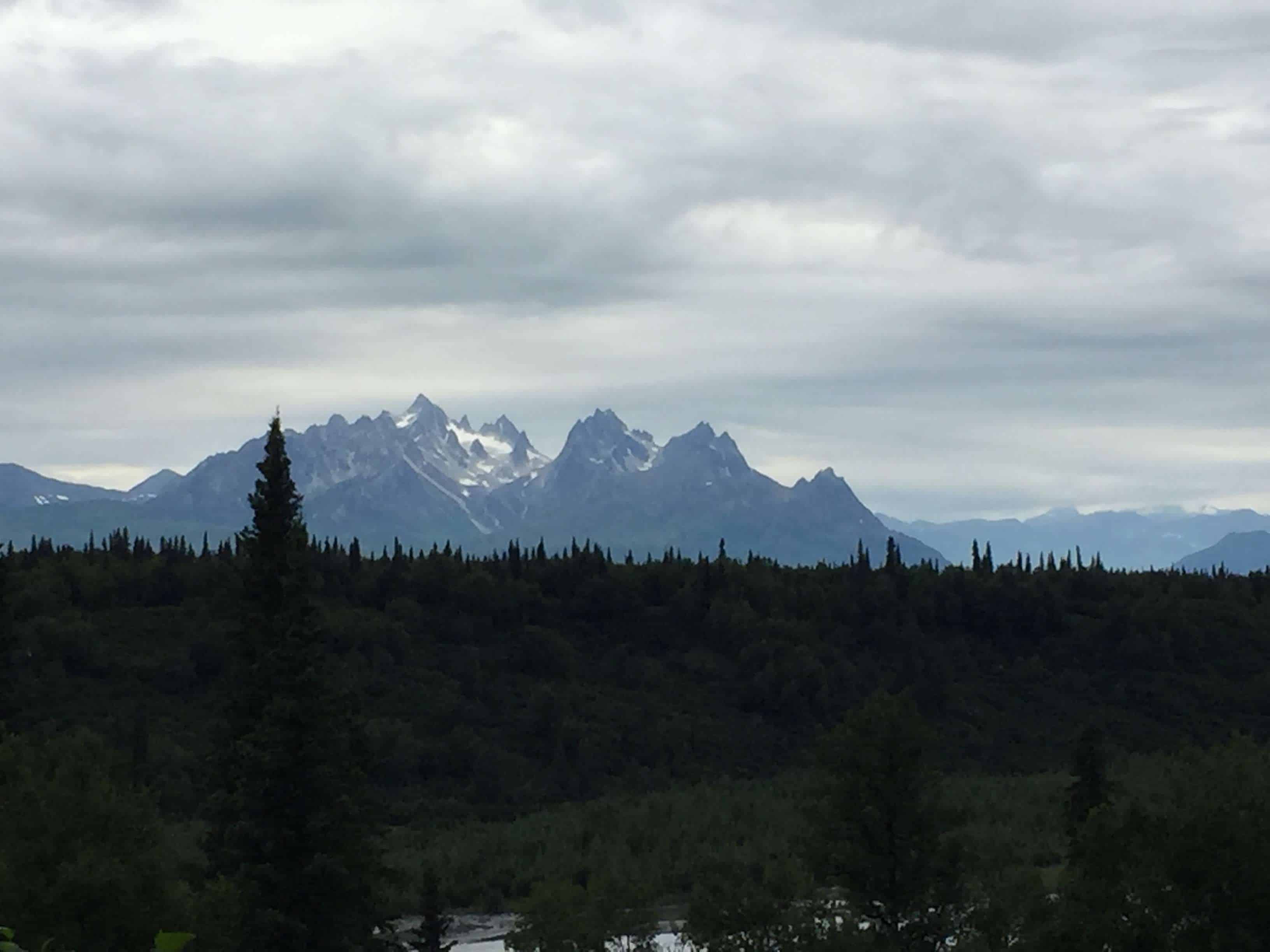 Denali View South in Trapper Creek Alaska AK