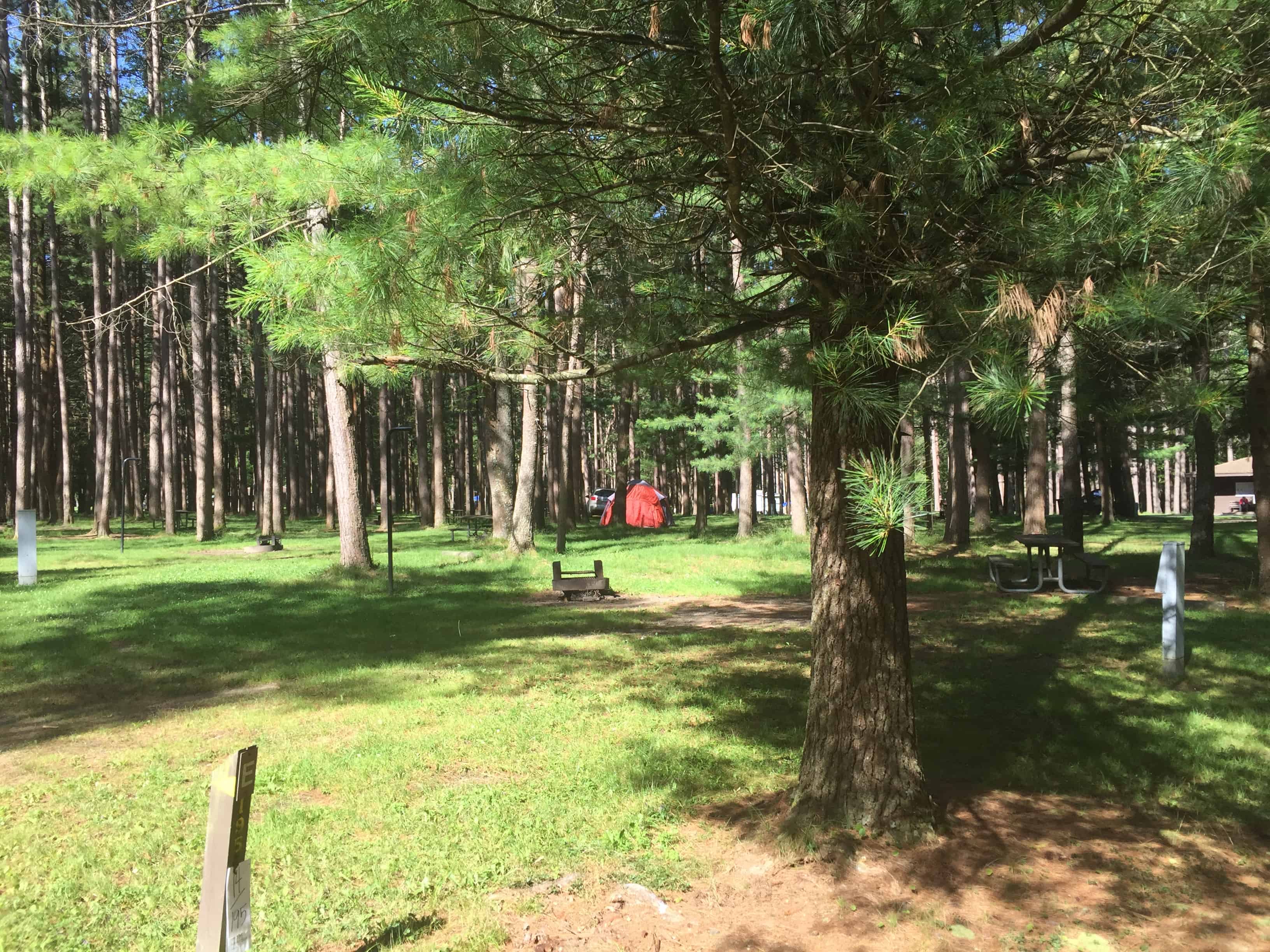 Cook Forest State Park in Clarington Pennsylvania (Cooksburg PA)