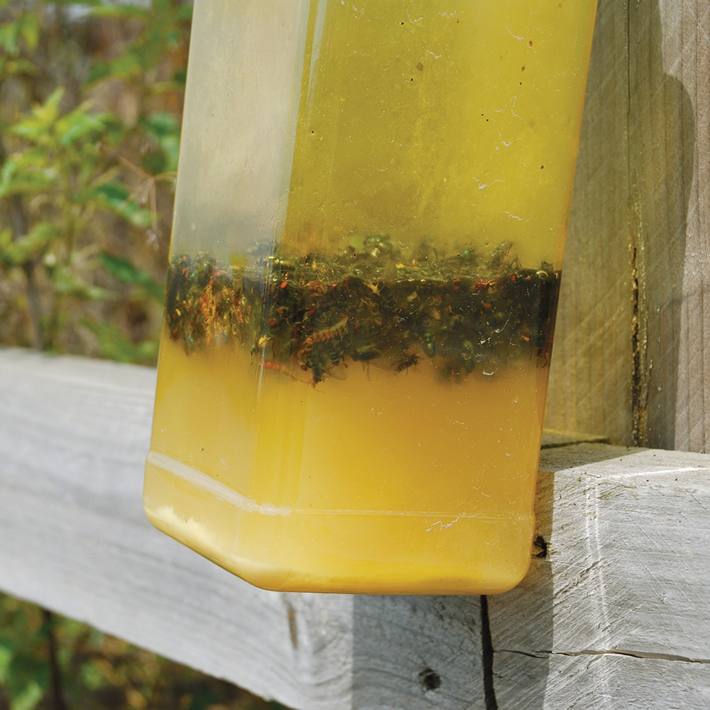 STV XL Outdoor Fly Trap Camping International