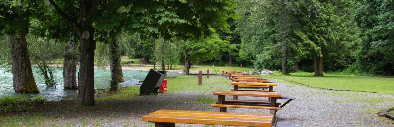 Sasquatch Provincial Park Bench Campground Camping & RVing BC