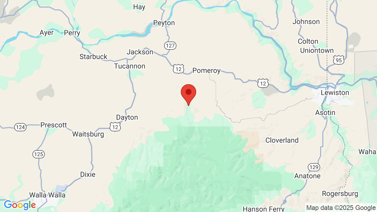 The Last Resort Campground Campsite Photos