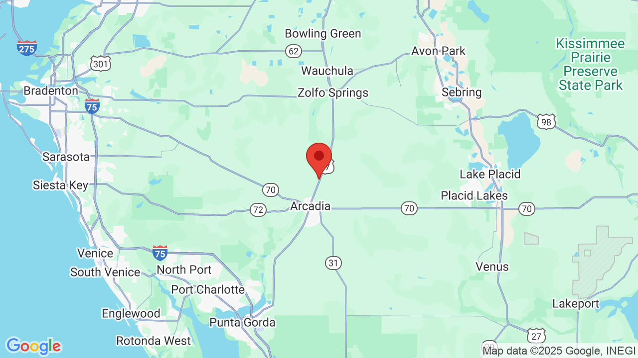 Little Willie's RV Resort (55+ park) Campsite Photos